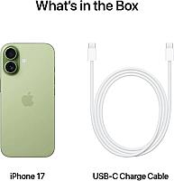 Apple iPhone 17 Single Sim (8GB/256GB) Sage - Thumbnail 2
