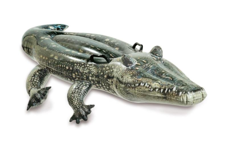 INTEX 57551 გასაბერი ნიანგი - Image 1