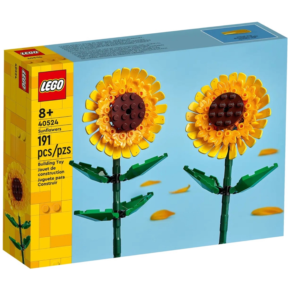 LEGO ასაწყობი კონსტრუქცია 40524