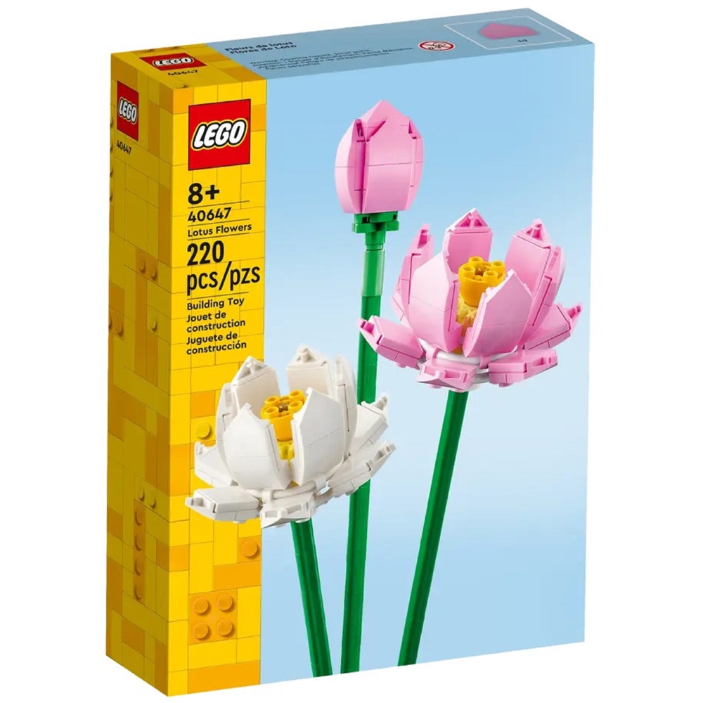 LEGO ასაწყობი კონსტრუქცია 40647