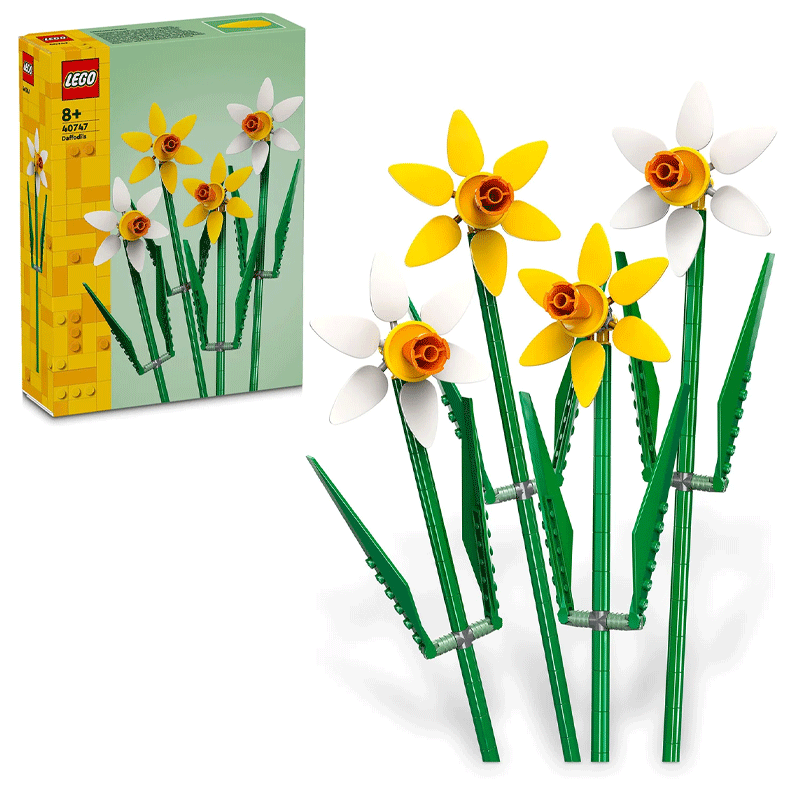 LEGO ასაწყობი კონსტრუქტორი 40747