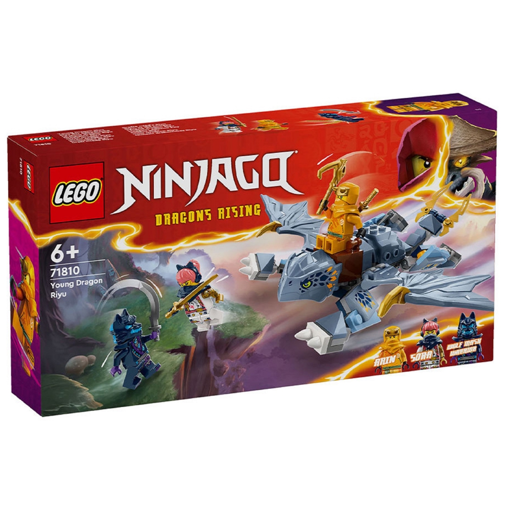 LEGO ასაწყობი კონსტრუქცია 71810