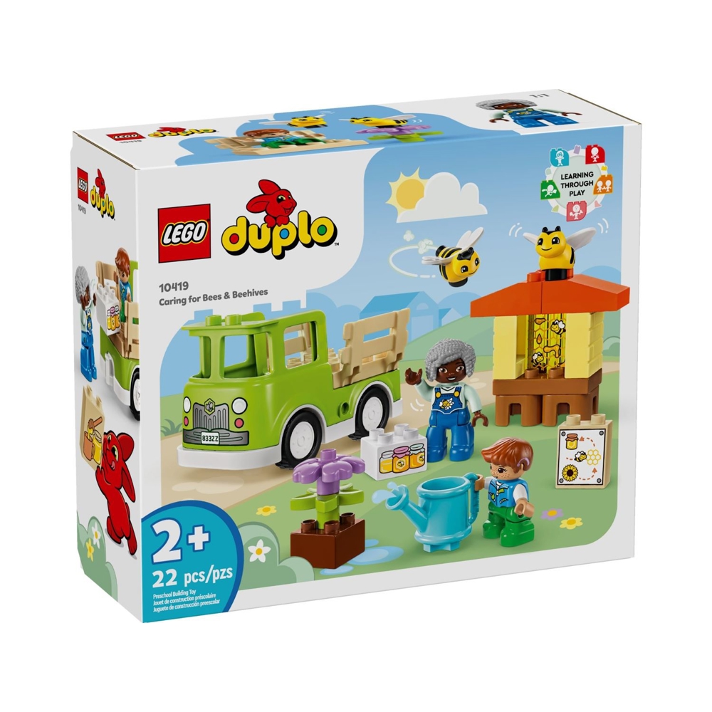 LEGO ასაწყობი კონსტრუქცია 10419