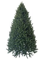 ნაძვის ხე მწვანე -240 სმ შერეული ტოტებით