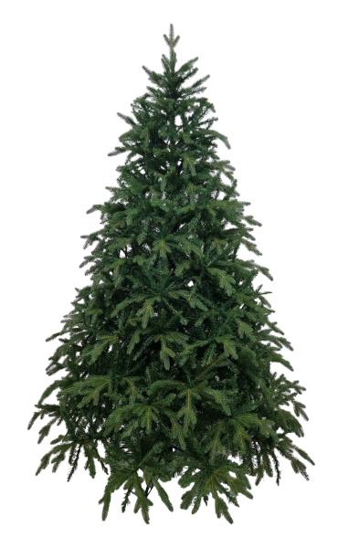 ნაძვის ხე მწვანე -240 სმ შერეული ტოტებით - Image 1