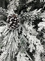 დათოვლილი ნაძვის ხე - 180სმ გირჩით და PVC ტოტებით - Thumbnail 2