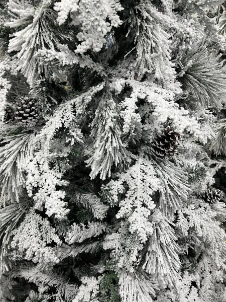 დათოვლილი ნაძვის ხე - 180სმ გირჩით და PVC ტოტებით - Image 3