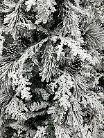 დათოვლილი ნაძვის ხე - 180სმ გირჩით და PVC ტოტებით - Thumbnail 3