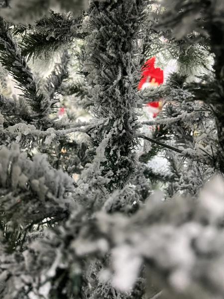 დათოვლილი ნაძვის ხე - 270სმ გირჩით და PVC ტოტებით - Image 4