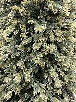 ნაძვის ხე -240სმ სრულად სილიკონის ტოტებით - Thumbnail 3