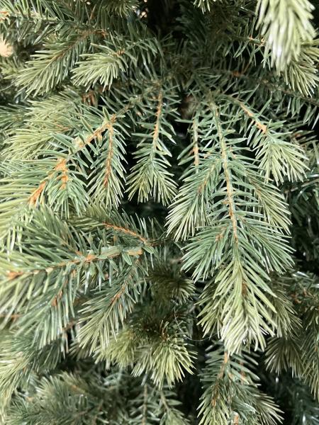 ნაძვის ხე მწვანე -210 სმ შერეული ტოტებით - Image 2