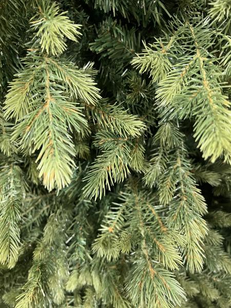 ნაძვის ხე მწვანე -210 სმ შერეული ტოტებით - Image 3