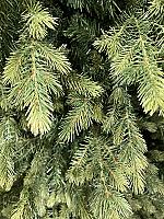 ნაძვის ხე მწვანე -210 სმ შერეული ტოტებით - Thumbnail 3