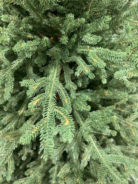 ნაძვის ხე მწვანე - 210სმ სრულად სილიკონის ტოტებით - Image 3