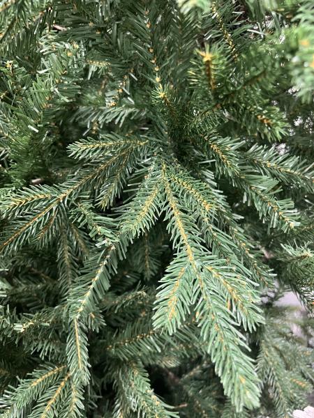 ნაძვის ხე მწვანე -180 სმ შერეული ტოტებით - Image 2