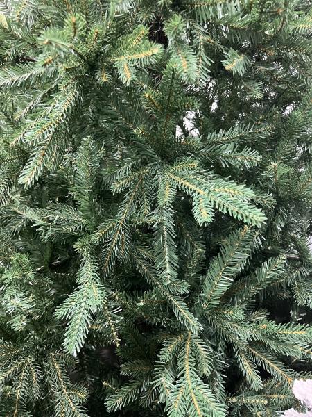 ნაძვის ხე მწვანე -180 სმ შერეული ტოტებით - Image 4