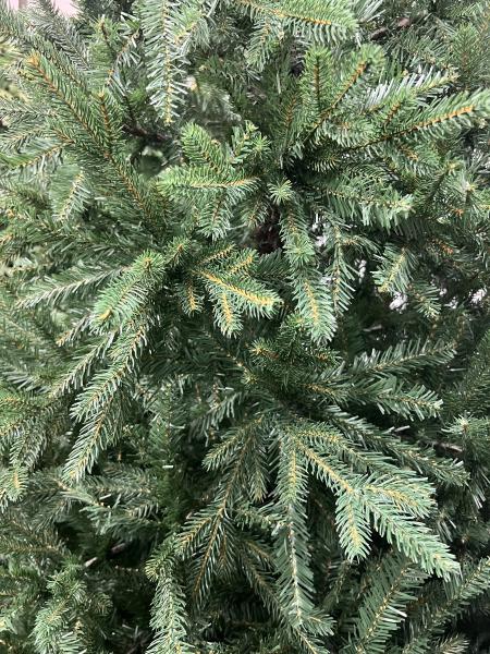 ნაძვის ხე მწვანე -240 სმ შერეული ტოტებით - Image 3