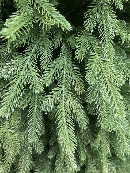 ნაძვის ხე მწვანე - 210სმ სრულად სილიკონის ტოტებით - Image 2