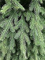 ნაძვის ხე მწვანე - 210სმ სრულად სილიკონის ტოტებით - Thumbnail 2