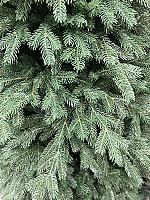 ნაძვის ხე მწვანე - 210სმ სრულად სილიკონის ტოტებით - Thumbnail 2