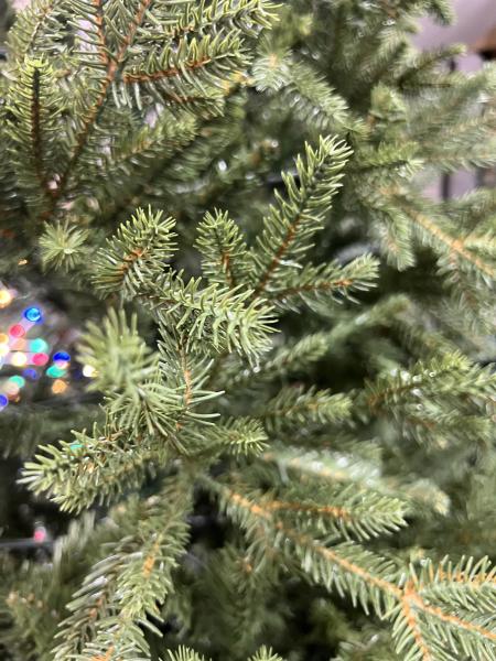 მწვანე ნაძვის ხე - 270სმ  შერეული ტოტებით PE+PVC - Image 2