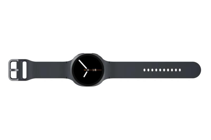 Samsung Galaxy Watch 8 44mm Gray (SM-L330NDAACIS) - Image 4